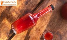 स्ट्रॉबेरी लिकर: शराब के साथ और शराब के बिना व्यंजनों का चयन