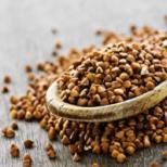 Buckwheat: properties, calorie content of porridge and bju